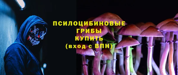 соль ск Армянск