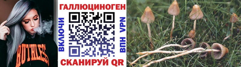 Псилоцибиновые грибы мицелий  Кирово-Чепецк 