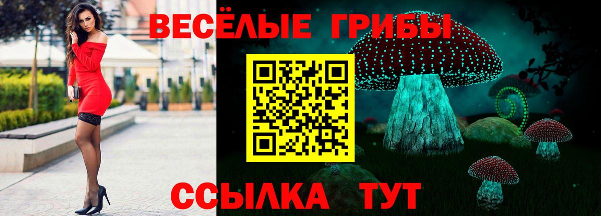Галлюциногенные грибы MAGIC MUSHROOMS  Вход с VPN  Кирово-Чепецк 