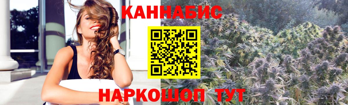 Канабис план Кирово-Чепецк